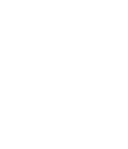 Better Company Consulting